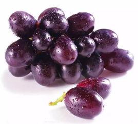 提子事件谁爆料的啊最新,揭秘爆料者身份与动机