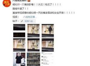 全国黑料爆料视频,视频爆料背后的真相与争议